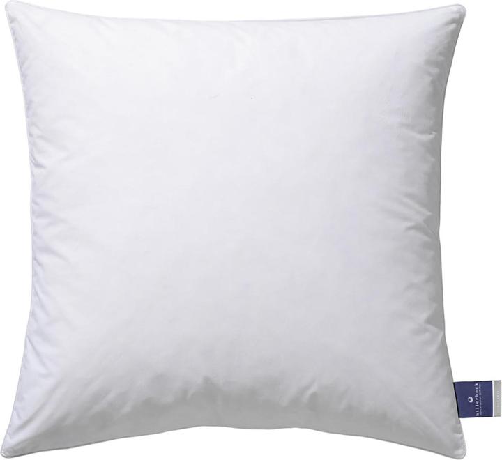 Produktbild Billerbeck Kissen Ambiente (40x40 cm)