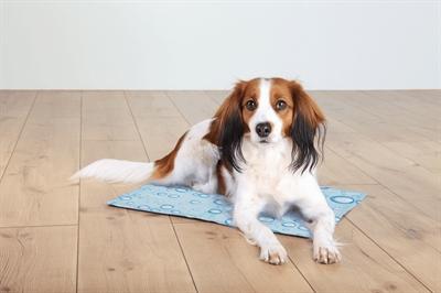 Immagine prodotto Trixie Tappetino di raffreddamento (Cane)