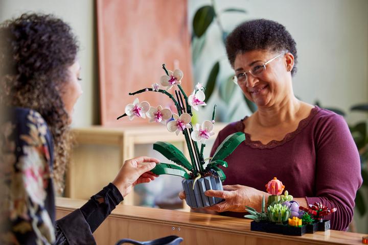 Produktbild LEGO Orchidee (10311, LEGO Botanical)