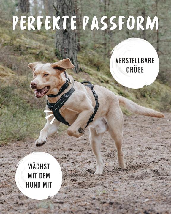 Produktbild Rudelkönig Hundegeschirr Paola mit Reflektoren und Haltegriff (S, Hund, Spazieren, Allgemein)