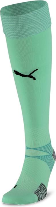 Actual product image Puma teamFINAL 21 Socks-704157 (35 - 38)