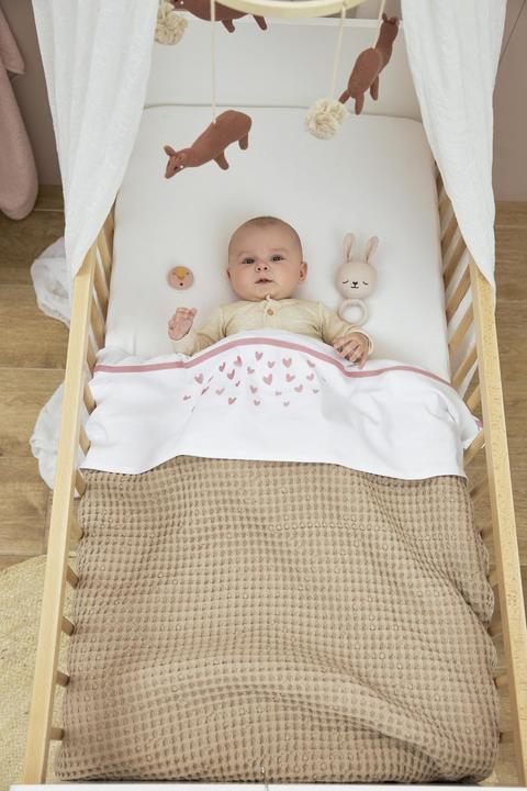 Immagine prodotto Meyco Cialda Teddy (100 x 150 cm)