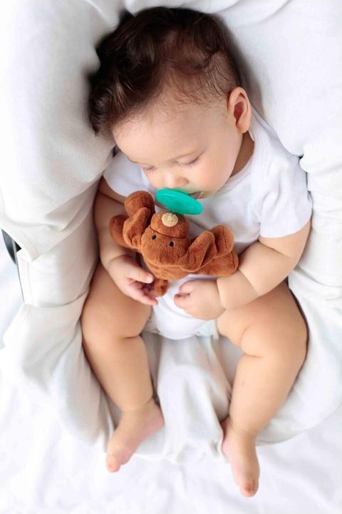 Image du produit Minikoioi SLEEP BUDDY Ours Moi