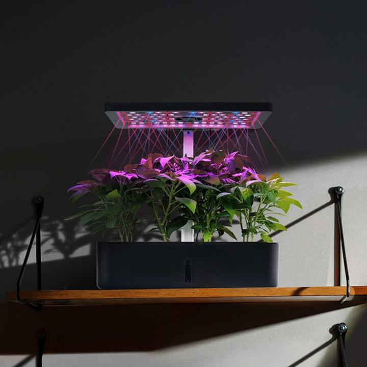 Image du produit Litrax LX202 - ROBIN jardin de salades