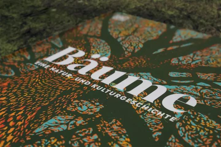 Image du produit Bäume - Eine Natur- und Kulturgeschichte (Allemand, Andrew Mikolajski, Michael Scott, Keith Rushforth, Dr. Ross Bayton, Agnes Pahler, 2022)