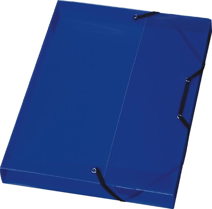 Actual product image Herlitz File box, DIN A4, made of PP, translucent-blue spine width: 40 mm, dimensions: (W)250 x (D)40 x (A4, 1 x)