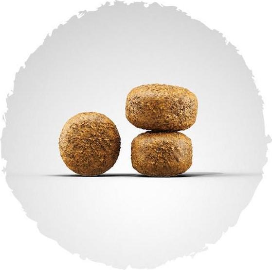 Immagine prodotto Josera Bilancia 12,5 kg (Senior, 1 pz., 12500 g)
