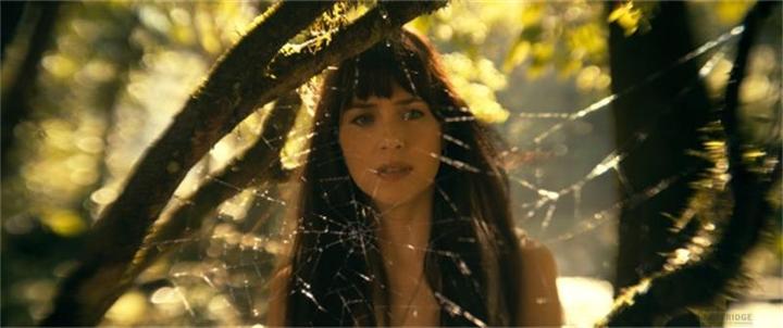 Actual product image Sony Madame Web (DVD, 2024, German, English)