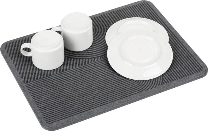 Actual product image Wenko Abtropfplatte Damon grau