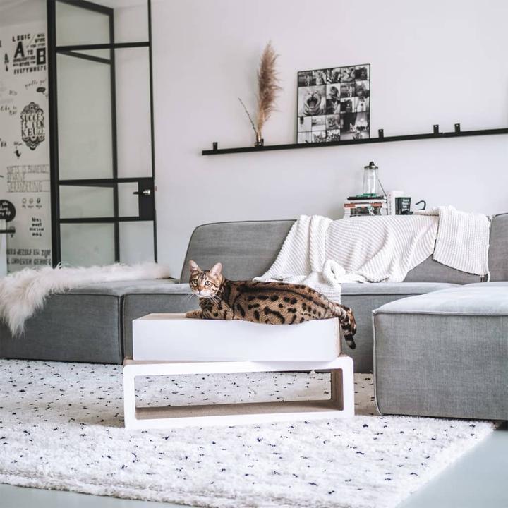 Immagine prodotto District 70 Kratzbaum (24 cm, Bianco e beige)