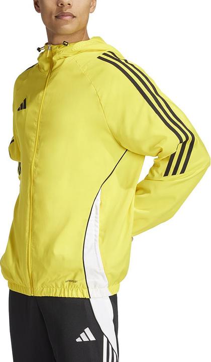 Actual product image adidas TIRO24 WB (XL)