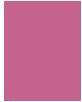 Actual product image NYX Professional Make-Up Epic Wear (19 Pink Spirit)