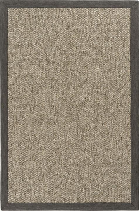 Beige, Beige Scuro