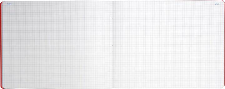 Image du produit Exacompta Livres de comptes (25 x 32 cm, Quadrillé, Couverture rigide)