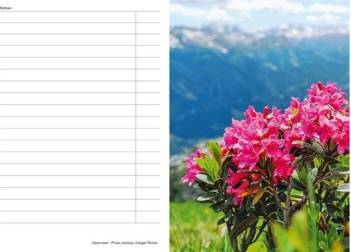 Produktbild Schweizer Foto-Almanach (15 x 21 cm, Harter Einband, Deutsch, Französisch, Spanisch, Italienisch, Englisch)