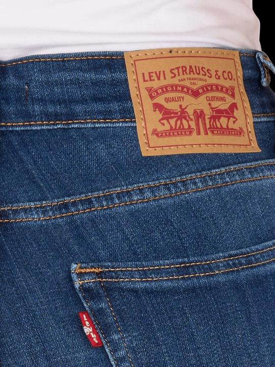 Image du produit Levis 10023507 (W31/L34)