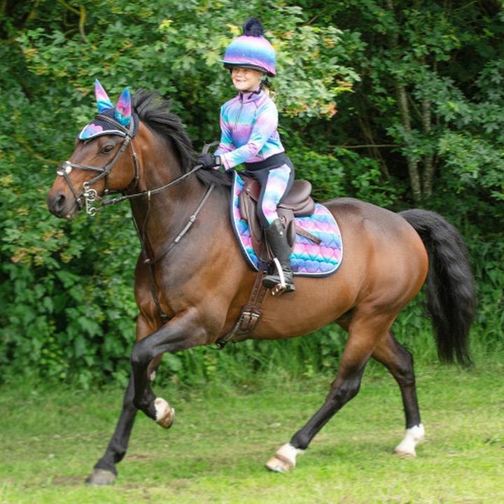 Produktbild Hy Equestrian Dazzling Night Reitleggings Mädchen (158, 164)