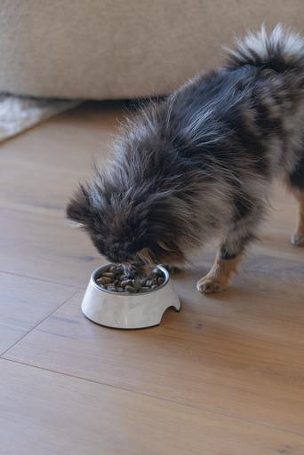 Immagine prodotto Designed by Lotte Ciotola per cani Meis (0.16 l)