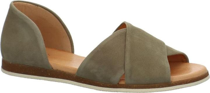 Caribou, olive