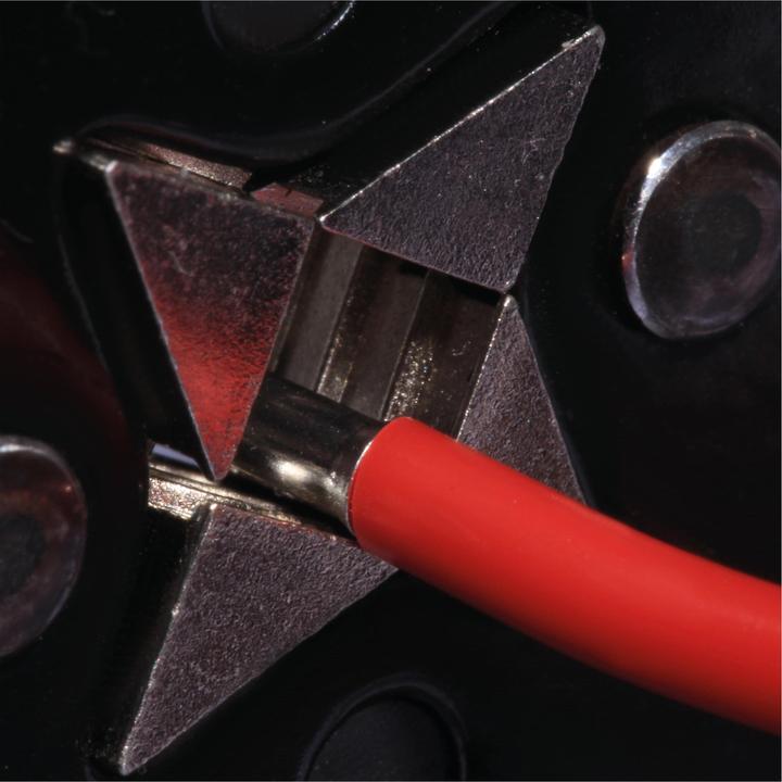 Actual product image Quadrios 22C485 Wire end ferrule range Uninsulated 1000 pcs.