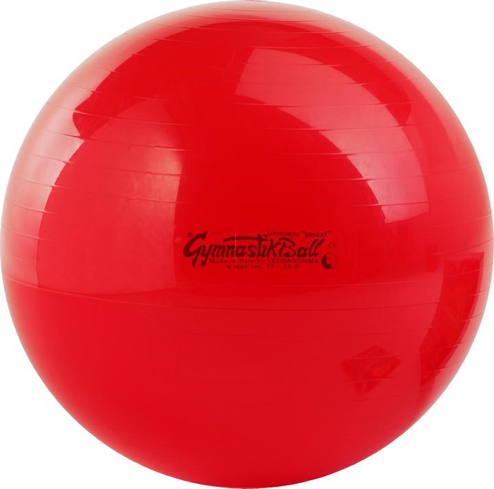 Produktbild Ledragomma Original Pezziball (75 cm)