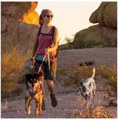 Produktbild Ruffwear Swamp Cooler Harness (M, Hund, Allgemein)