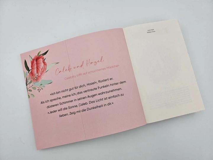 Actual product image Hidden Scars (German, Ayla Dade, 2024)