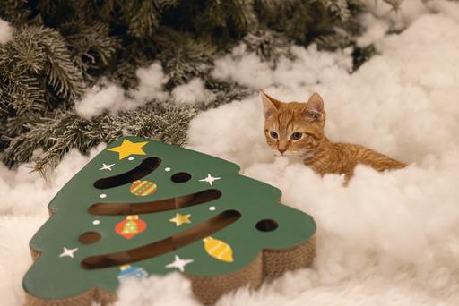Produktbild Beeztees Weihnachts Kratzspielzeug (Kratzspielzeug Katze)