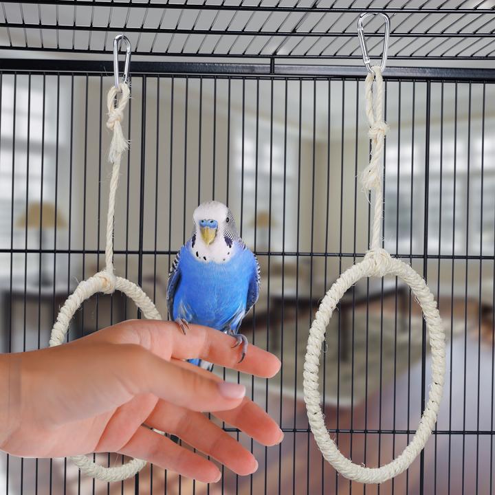 Image du produit Relaxdays 2x balançoire oiseau