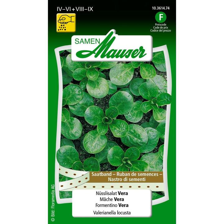 Actual product image Samen Mauser Sweet Salad Vera Seed Ribbon (Vegetable seeds)