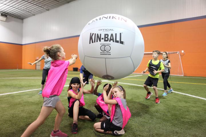 Actual product image Omnikin Kin Ball Official