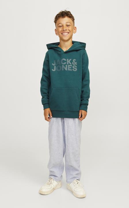 Actual product image Jack & Jones Jjecorp Logo Sweat Hood Noos Jnr (164)