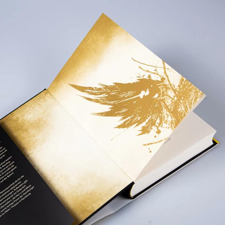 Actual product image Harry Potter and the Enchanted Child. Part one and two (German stage version) (Harry P (Jack Thorne, John Tiffany, German)