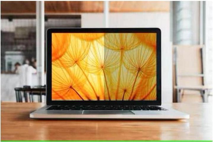 Actual product image 3M BRIGHT SCREEN PRIVACY FILTER FOR 13.3 FULL SCREEN LAPTOP 16:1 (13.30", 16 : 10)