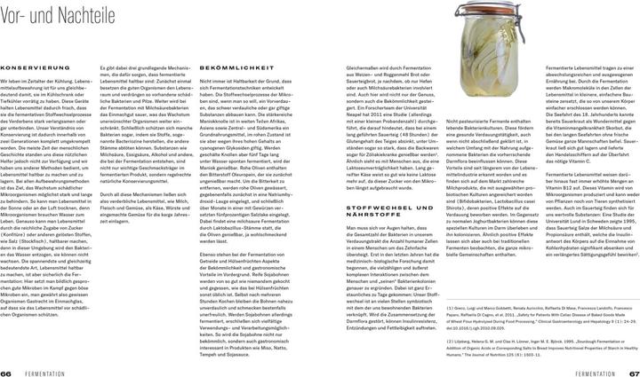 Immagine prodotto Fermentation (Tedesco, Tommaso, Antoniewicz, Heiko/Ruhl, 2021)