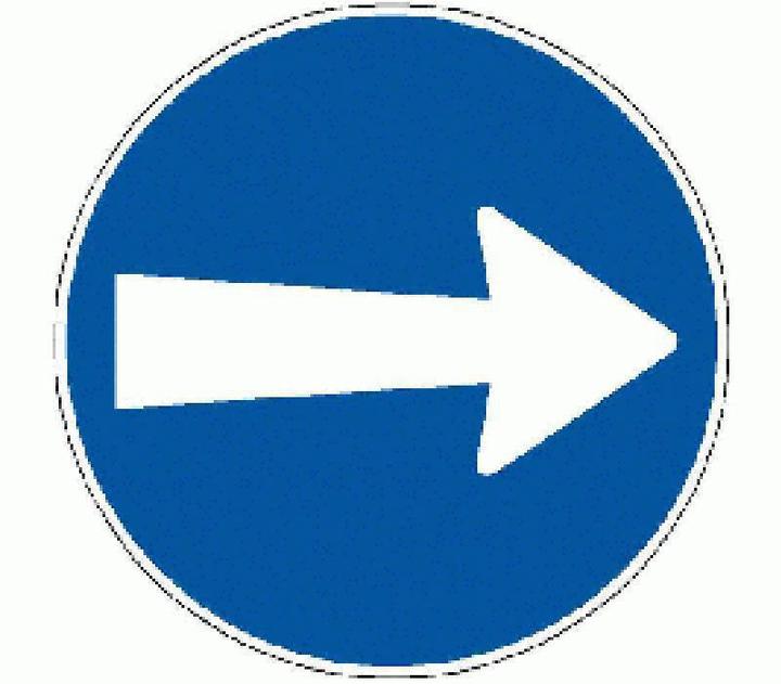 Actual product image BRW Turn right sign 2.32