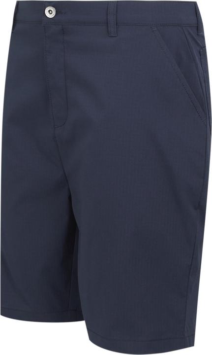 Actual product image Regatta Mens Dalry Multi Pocket Shorts (42)