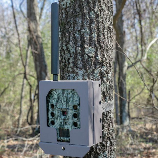 Image du produit Bushnell Boîtier de sécurité pour caméra de tracking
