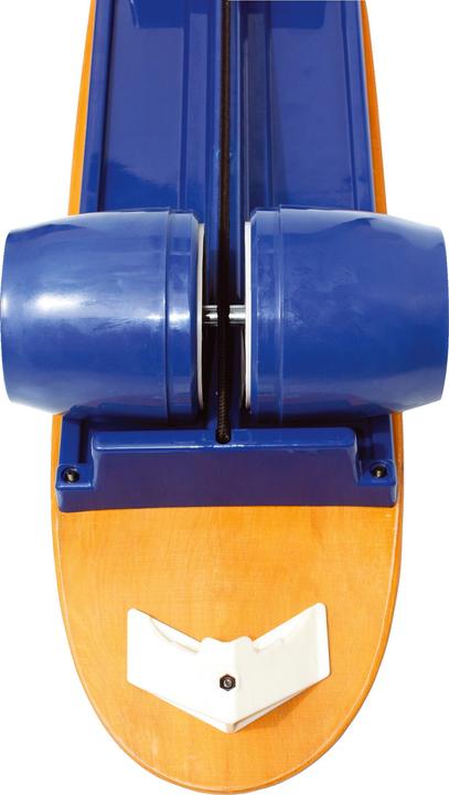 Actual product image Fitterfirst Balancing board Bongo Board
