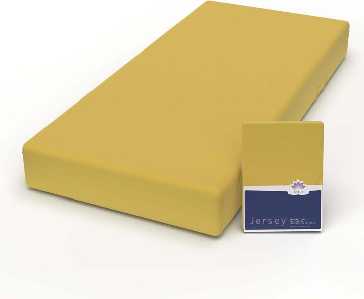 Actual product image Lotus Bettwaren Jersey Fix Comfort (120 x 200 cm)