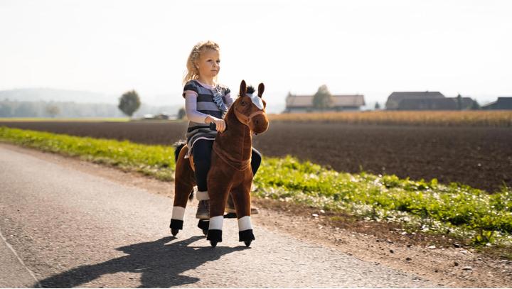 Image du produit Zoosy Cheval de selle taille M