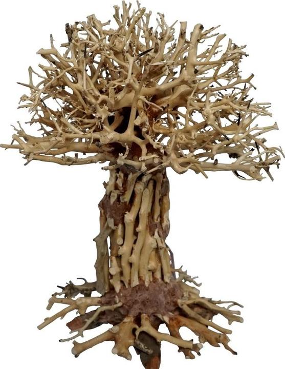 Actual product image 4fish Traerødder, Pagoda Bonsai, 30x20x35 cm (other items)