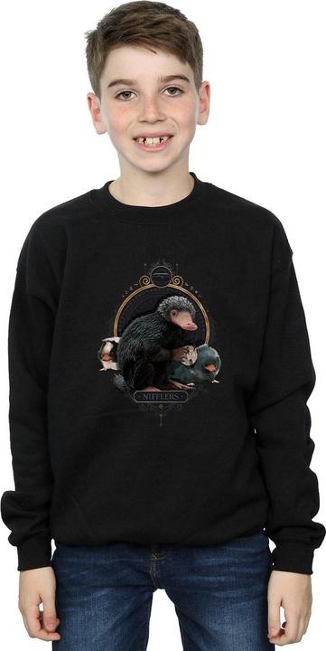 Image du produit Fantastic Beasts - Sweat BABY NIFFLERS - Garçon (152, 158)