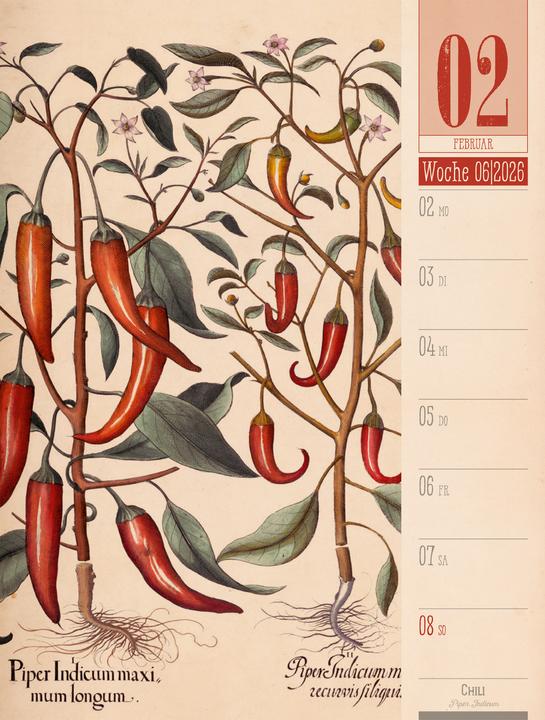 Immagine prodotto Culinarium - Küche, Kräuter, Kurioses - Vintage Wochenplaner Kalender 2026 (25 x 33 cm, Copertina rigida, Tedesco)