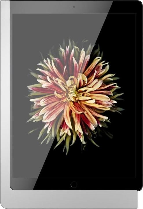 Produktbild Viveroo 510150PD iPad Wandhalterung silber lackiert