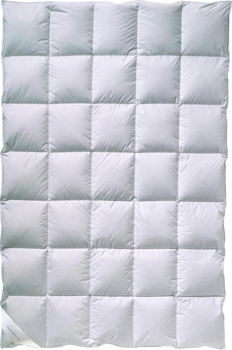 Produktbild Billerbeck Gabriela 90 (1400 g, 135 x 200 cm)