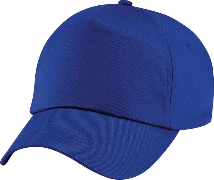 Bleu roi soutenu