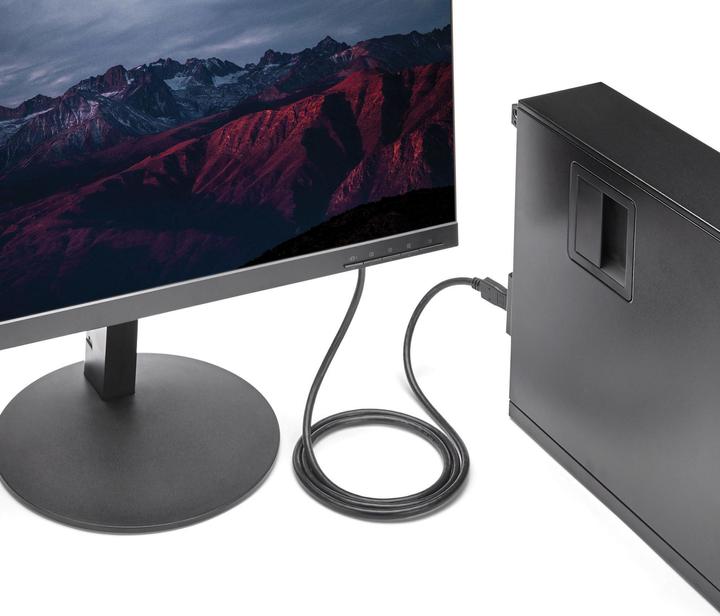 Actual product image StarTech 6ft Displayport To Dvi Cable (1.80 m, DisplayPort)