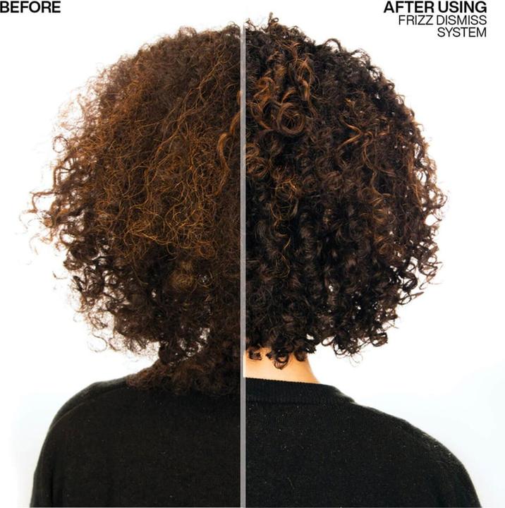 Actual product image Redken Frizz Dismiss Rebel Tame (250 ml)