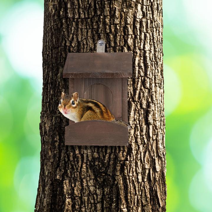 Produktbild Relaxdays Eichhörnchen Futterhaus